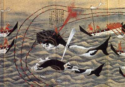 🐬 Dolphin Angels 🌱 Ⓥ tweet media