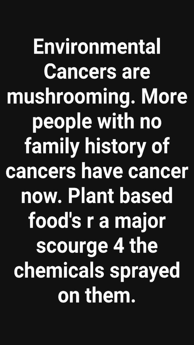 Mp3476MP91 tweet media