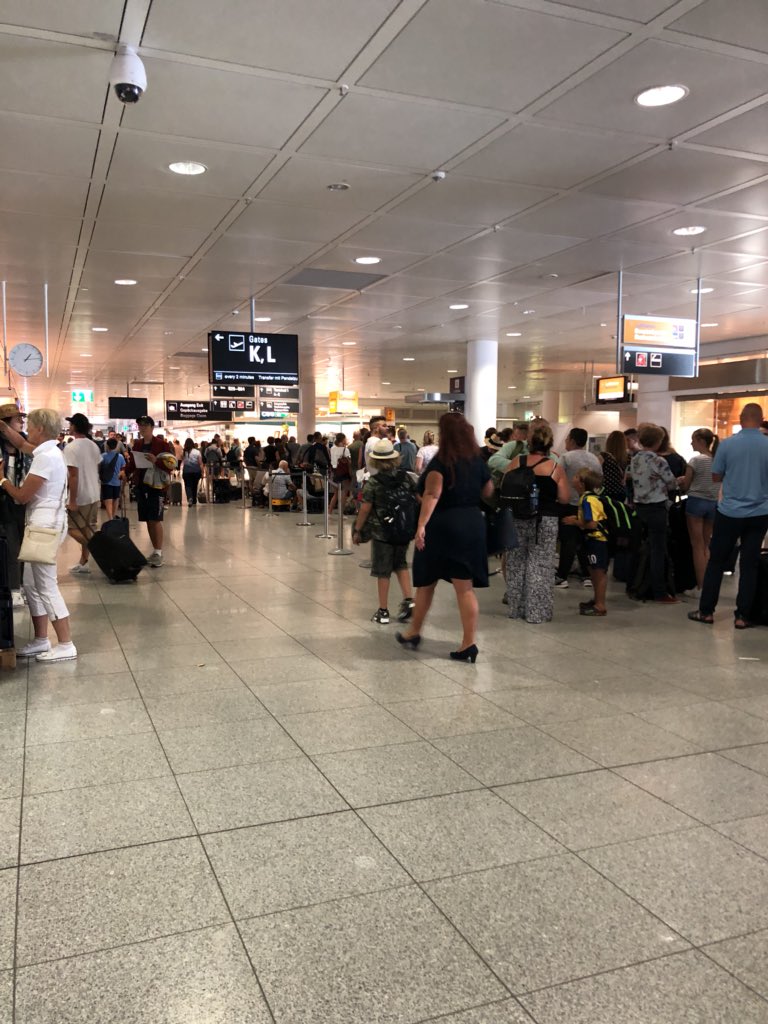 Tracey Bochner tweet media