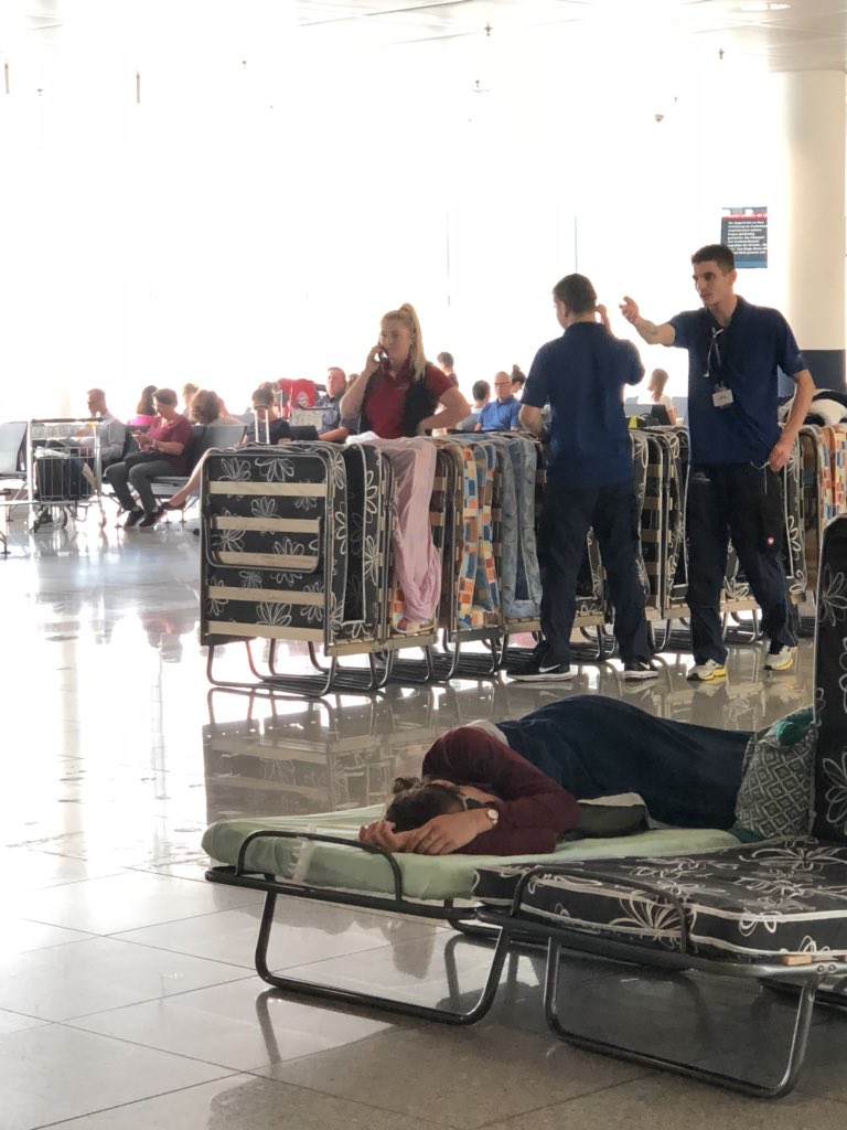 Tracey Bochner tweet media