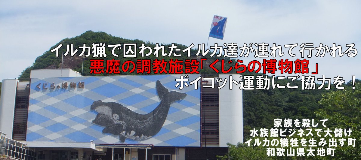 🐬 Dolphin Angels 🌱 Ⓥ tweet media