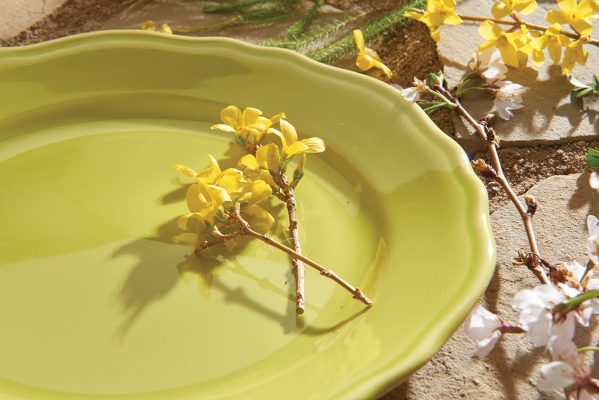 FiestaOutlets's tweet photo. Sunny weather calls for Citrus! 🍋🍋 Bring the brightness of the outdoors inside any time of year with this light and bright shade from the new Terrace collection by Homer Laughlin. 😎https://t.co/2dq3Psp7Sq #SummerShades #Restaurants #TabletopTrends https://t.co/6Q4wd8nZWw