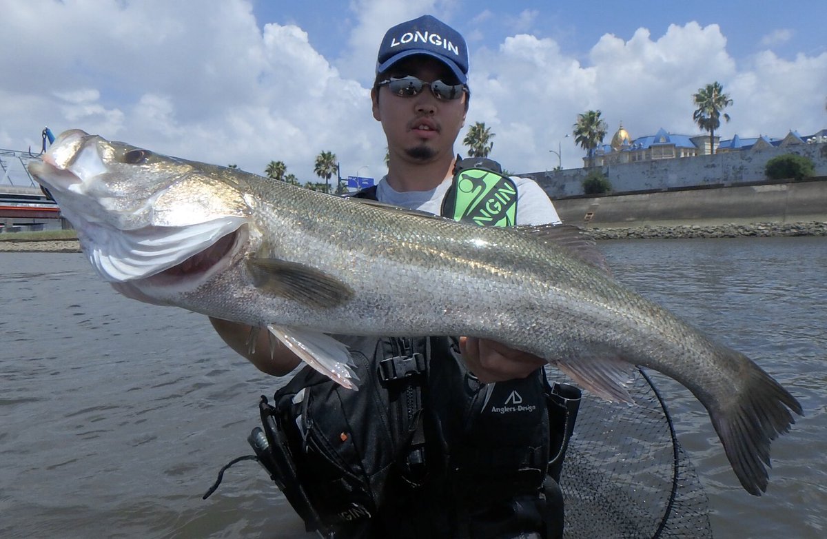 Taku_seabass24's tweet image. 台風後のデイゲーム🎣
日焼けしてきました☀️（笑）

瀬に着いてる魚をキャッチしながら、最後に75cmをキャッチ‼︎👍

やっぱりりデカイ魚の空気を吸い込むあのエラ洗いはたまらんね。

皆で楽しめました♪
#longin
#キックビート70
#リアルキッス