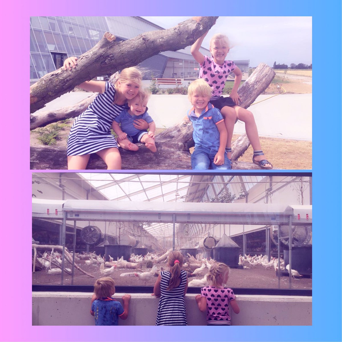 SjefClassens's tweet image. Breek de dag.... bezoekje aan #kipster