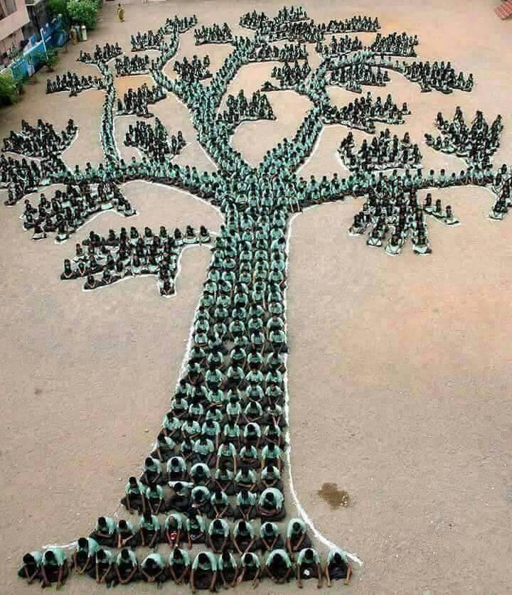 WhistleTalks's tweet photo. How many Retweets for these kids creativity?! https://t.co/jZK7B0Tn8h