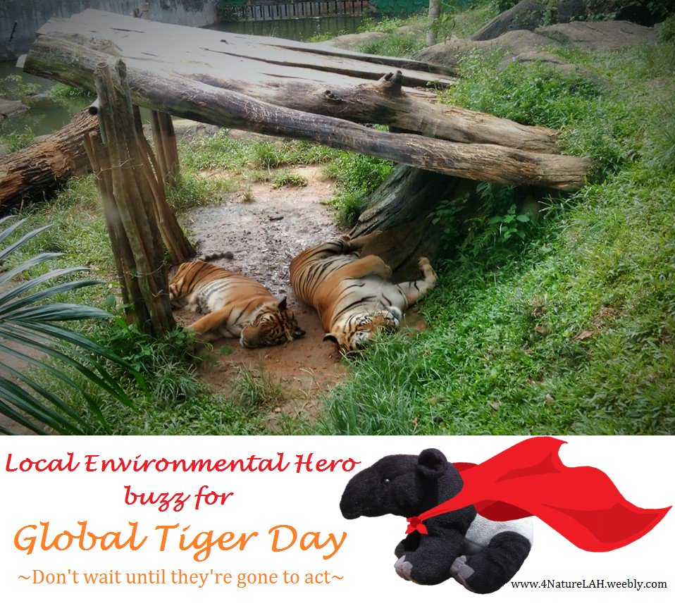 Paddle4Nature's tweet photo. When #tigers only exist in #zoos and #history #books it will be too late to act
Mamat the #Tapir send love to his kitty friends on #GlobalTigerDay
#4NatureLAH #nature #wildlife #forest #conservation #malaysia https://t.co/FltDheMxeI