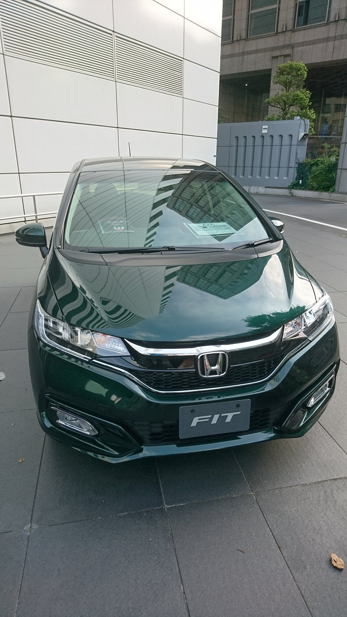 D Taka フィットの特別仕様車コンフォートエディションに設定されているブリティッシュグリーンパール 実車みて なかなかよかった ホンダ ホンダフィット T Co Rwzmdvxgrt Twitter