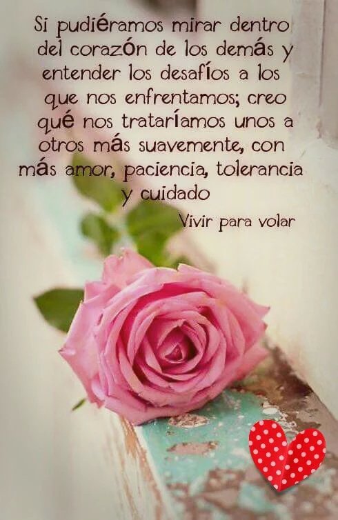 Imagen relacionada