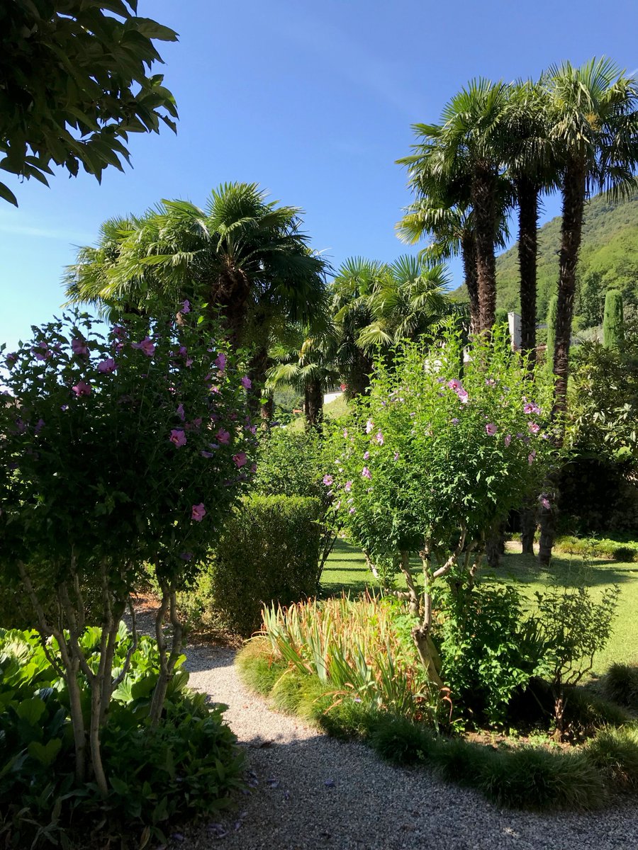 Susan E. Short tweet media