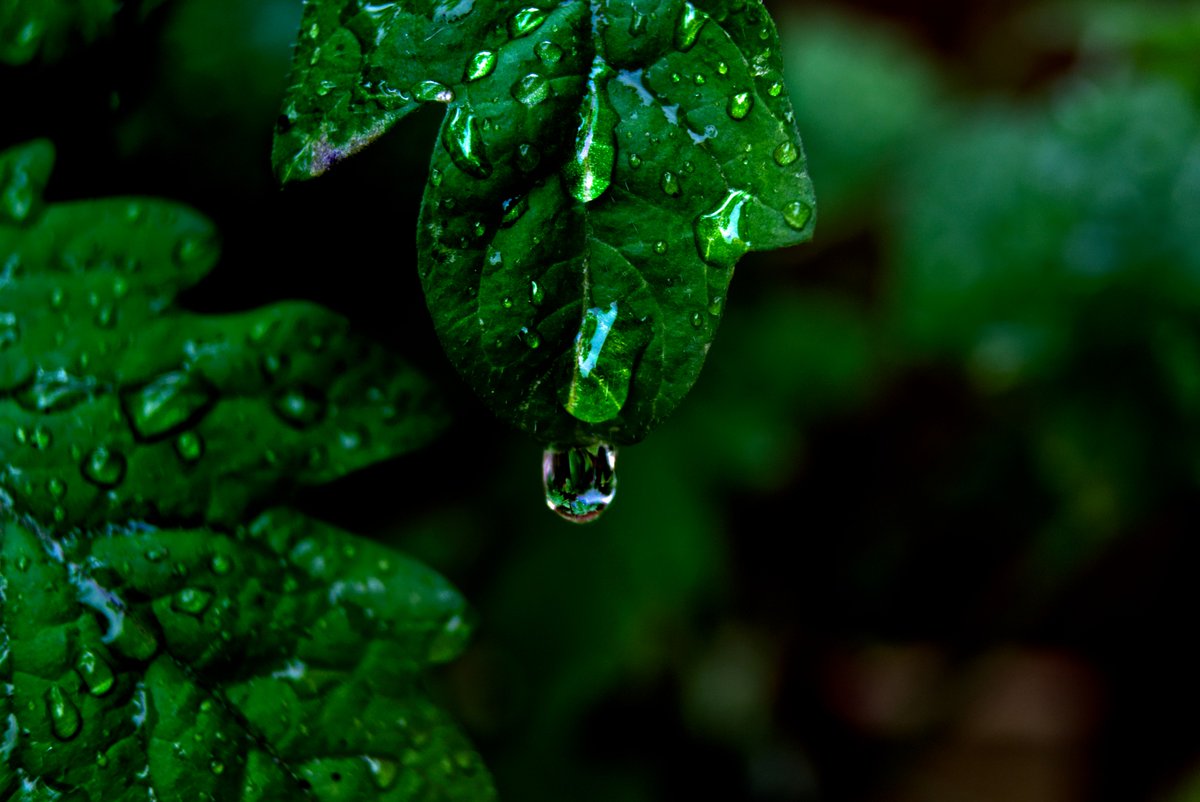 Project Alpha TV tweet media