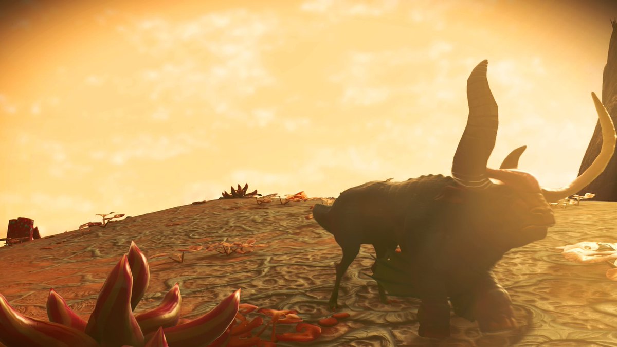 NMSDiscoveries's tweet photo. Alien bull with a sunset makes a great photo. https://t.co/7i3qoUdPXu
