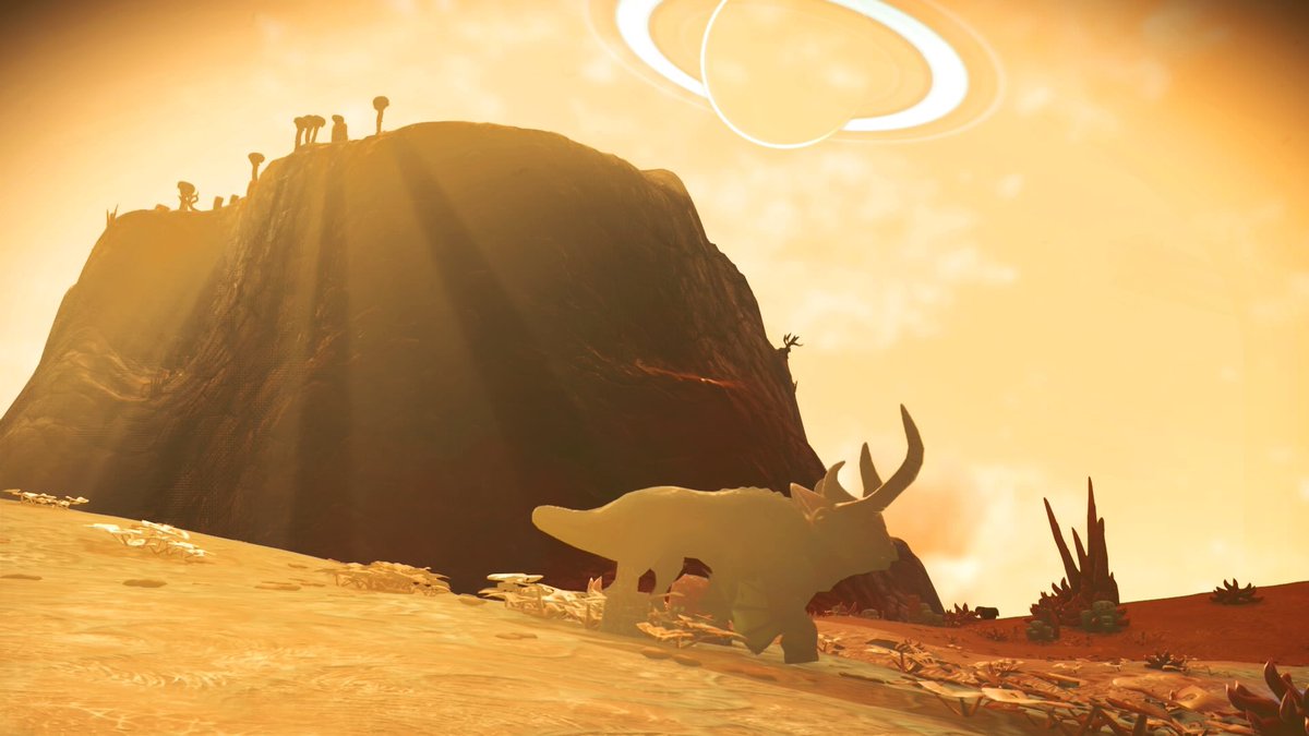 NMSDiscoveries's tweet photo. Alien bull with a sunset makes a great photo. https://t.co/7i3qoUdPXu