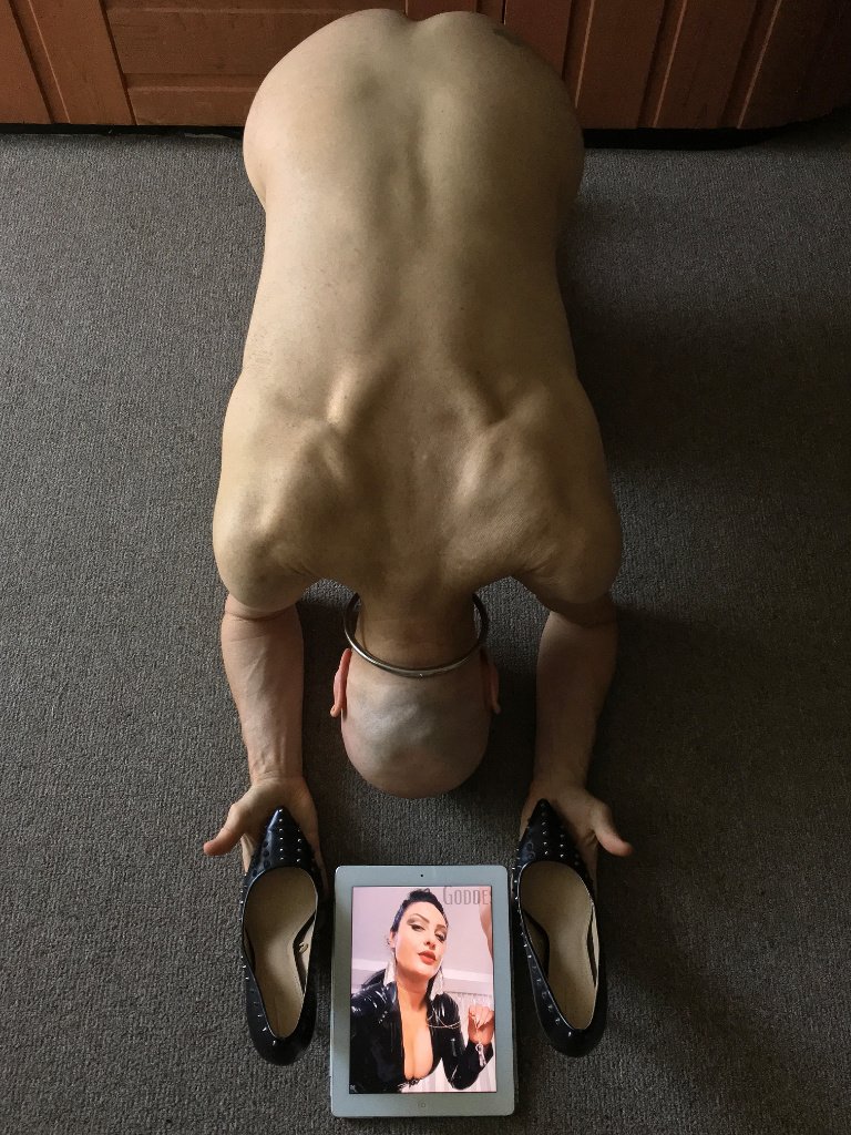sit slave of Ezada on Twitter "StapanaMistress_Ezadas preferred ... Sex Image Hq sit slave of Ezada on Twitter "StapanaMistress_Ezadas preferred ... image picture