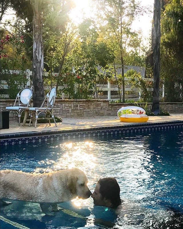 WendyBellissimo's tweet photo. GOTO MY INSTAGRAM FOR DETAILS> https://t.co/plC3HsaIEu Some things just fill your heart without trying💫 (follow the boys @wendybellissimopet ) #dieselandmaverick #labsofinstagram https://t.co/azlnNLctPp