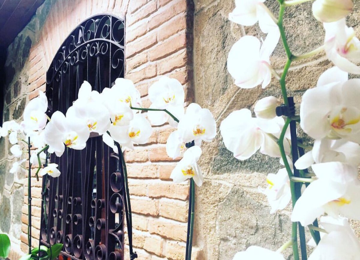 Venta_de_Aires's tweet photo. Hoy celebramos Santa Marta (patrona de la Hostelería) en Venta de Aires. Muchas felicidades a todas las Martas y a nuestros compañeros del sector. 🥂 @HosteleroToledo @FEHRhosteleria #hosteleria #SantaMarta https://t.co/byZ3ulUCEF