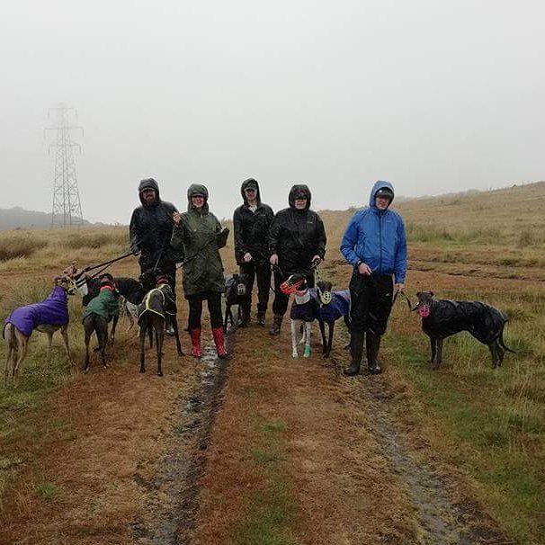 GRSY14's tweet photo. What a difference a day makes.

Not that we care - just as long as it's cool enough to get the dogs out for lovely walks!

Thank you to everyone who came along today. https://t.co/4TKx8Z39Fx
