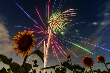 まとめ 栃木県野木町と周辺の観光 イベント お祭り情報 とちのいち