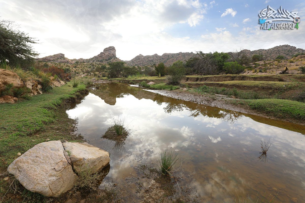 abdullah_asiri8's tweet photo. من آثار رحمة الله:
لقطات تفوح برائحة المطر الزكية
من أحد أودية #تنومة الزهراء
بمنطقة #عسير
فجر اليوم الخميس ١٣-١١-١٤٣٩
الطبيعة التي لا تصل إليها السيارات
لا تزال محافظة على جمالها ونظافتها. https://t.co/vPG69lFMpm