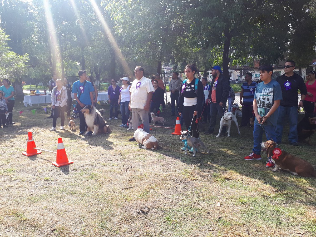 Nuestra pool party dog del día de hoy. ¡Muchas gracias por su asistencia! 
#SoyImjuci