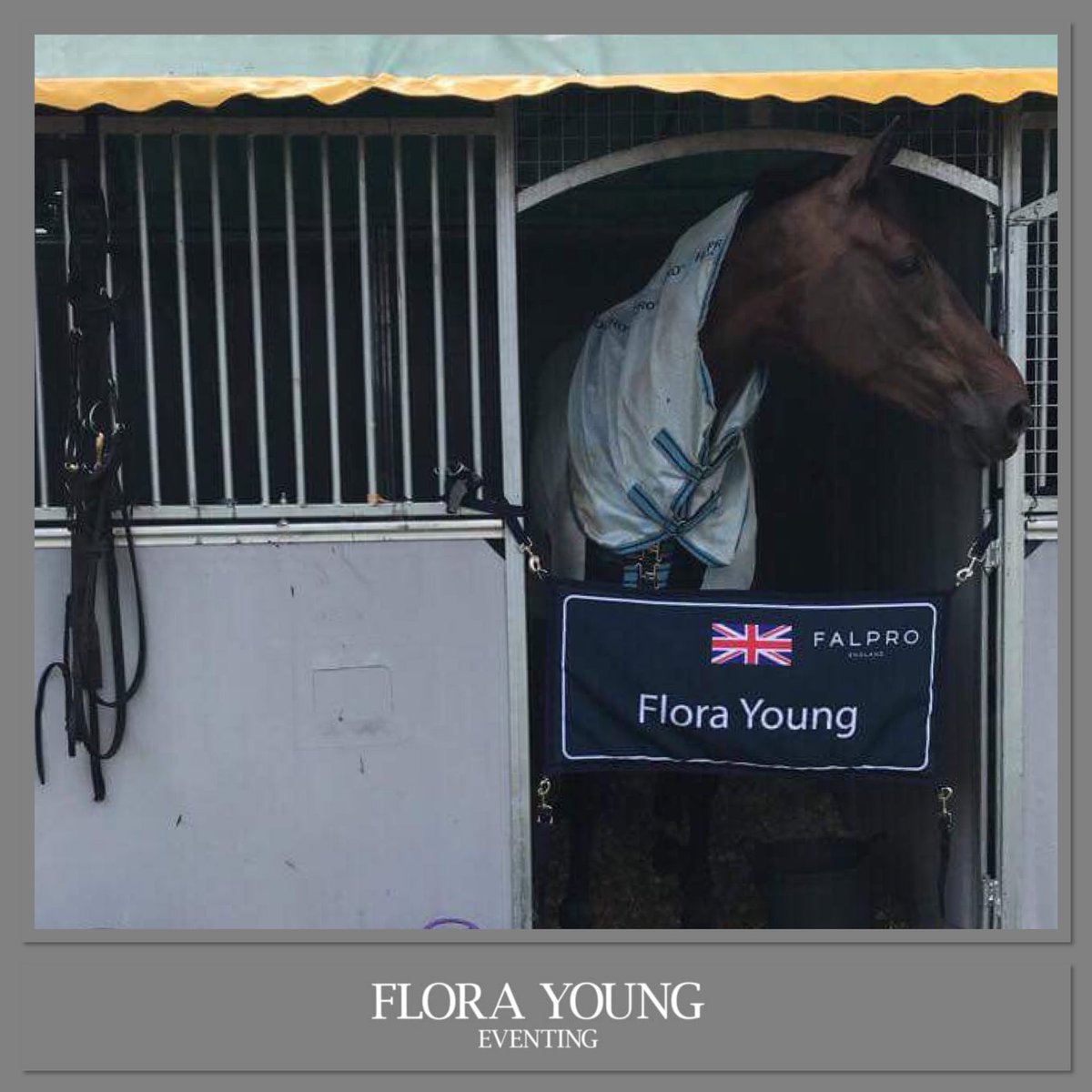 3* qualification achieved today <a href="/BurghamHT/">Burgham Horse Trials</a> beyond thrilled and thanks to all those involved and to my supporters <a href="/falpro_tweets/">FALPRO</a> <a href="/ChampionSafety/">Champion</a> <a href="/SaracenFeeds/">Saracen Horse Feeds</a> <a href="/Shearwater_Ins/">Shearwater Insurance</a> <a href="/Devoucoux/">Devoucoux</a> <a href="/BelvoirRugCo/">BelvoirRugCo</a> <a href="/EquineAthletes1/">Equine Athletes</a> <a href="/EventingWWNEWS/">Eventing Worldwide</a> <a href="/HorseHour/">#HorseHour</a> #eventing #AbsolutelyBestFeeling