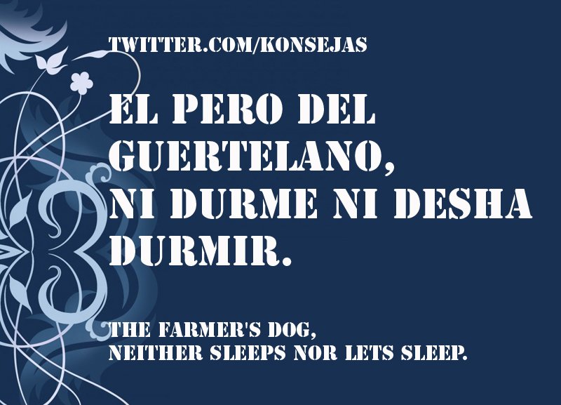 konsejas's tweet photo. Bive i desha bivir. It is said of someone who hinders, that does not fulfill its purpose and does not let others do theirs.
#konsejasireflanes #ladino #sephardic #Israel #detti #Sefarad #refranes #Proverb  #לאדינו #ישראל #ספרד #language #word #Spain #Jews #españa #dog #perro https://t.co/cVGyAjZ5OP