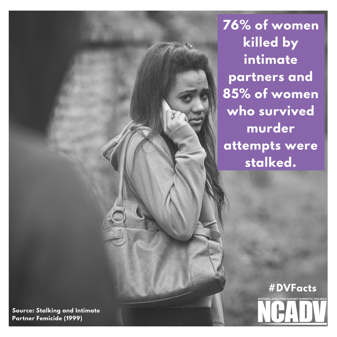 sj_action's tweet photo. #DVFacts https://t.co/n16uHRvYP2