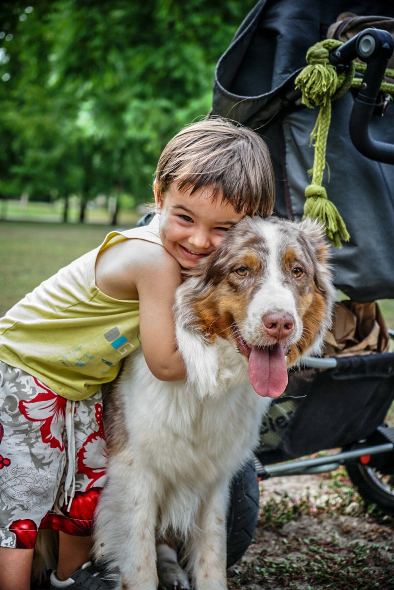 Kristinapicture's tweet photo. Même en séance photo le chien est de mise chez mes modèles 👌😁💪
Et oui l'été ne rime pas avec abandon !!

©Kristinapic

#sonyalpha #sonyalpha7ii #A7II #sonyrepresent #sonyartist #sonyfrance

@30millionsdamis #NONALABANDON https://t.co/sH2QYElnJt