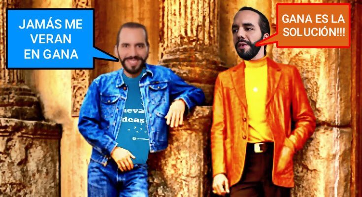 Chucho Amarillo tweet media