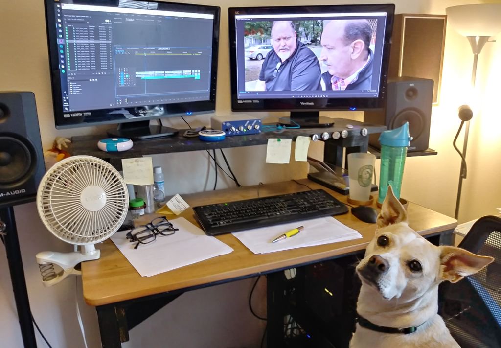 NMFCdocumentary's tweet photo. Just a quick update:  We are well into the editing process.  There is still a ways to go on the documentary, but we want to keep everyone aware that progress is still being made.

Pictured: Rocky, Assistant to the Editors https://t.co/7aTcDAjj78