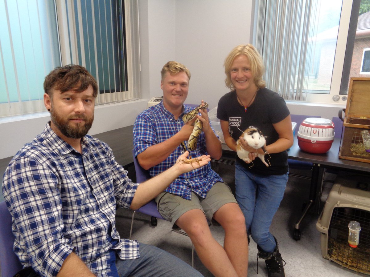 Hellingly_OT tweet media