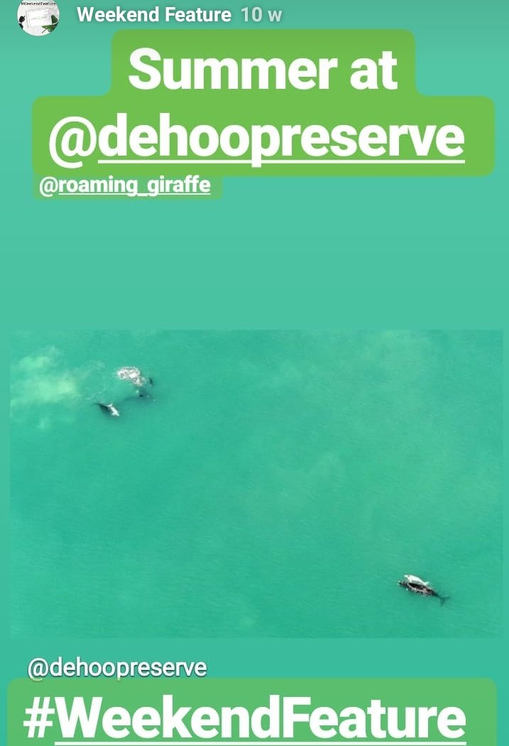 CeecesTravel's tweet photo. The Weekends not over yet and neither is our #WeekendFeature on Instagram. 🖤💛❤
Have you been featured? 💚💜💙
All #WeekendFeatures go into our highlights reel 🌍🌍🌍
https://t.co/isO3sg3lf9 https://t.co/tNd0hGEg4S