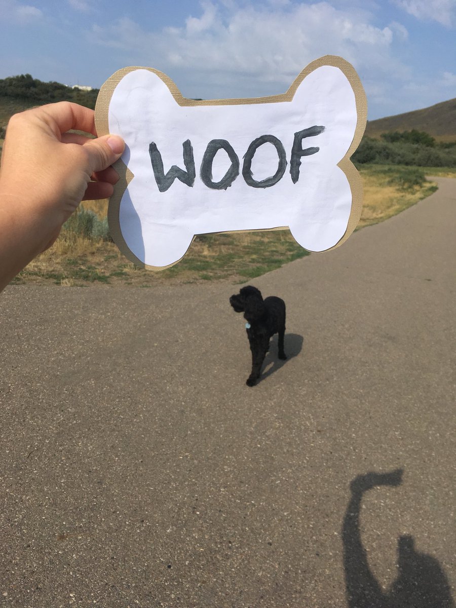 karenjohnson101's tweet photo. #doglivesmatter https://t.co/EmjWgGkXON