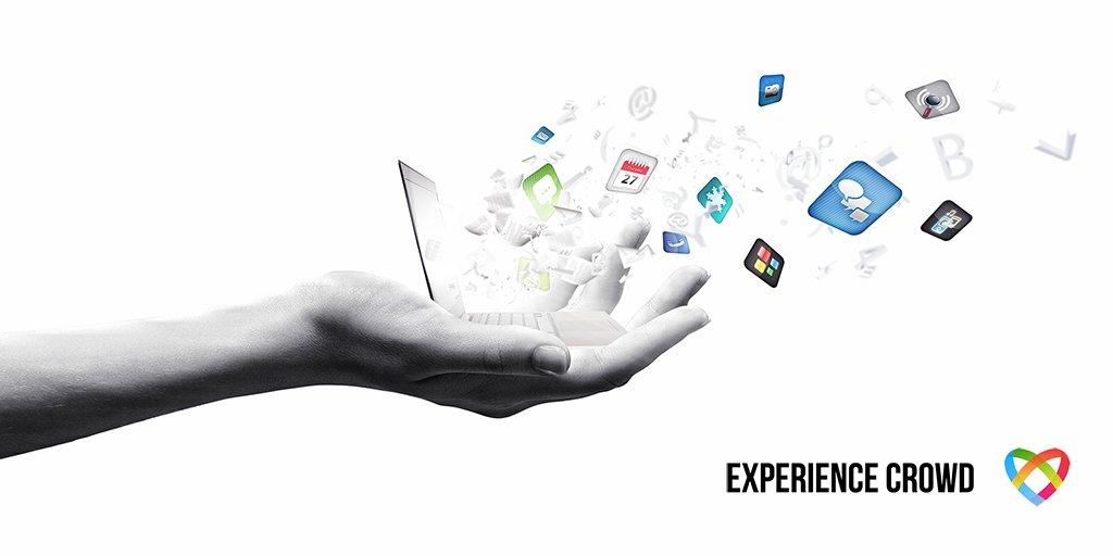 Experience Crowd tweet media