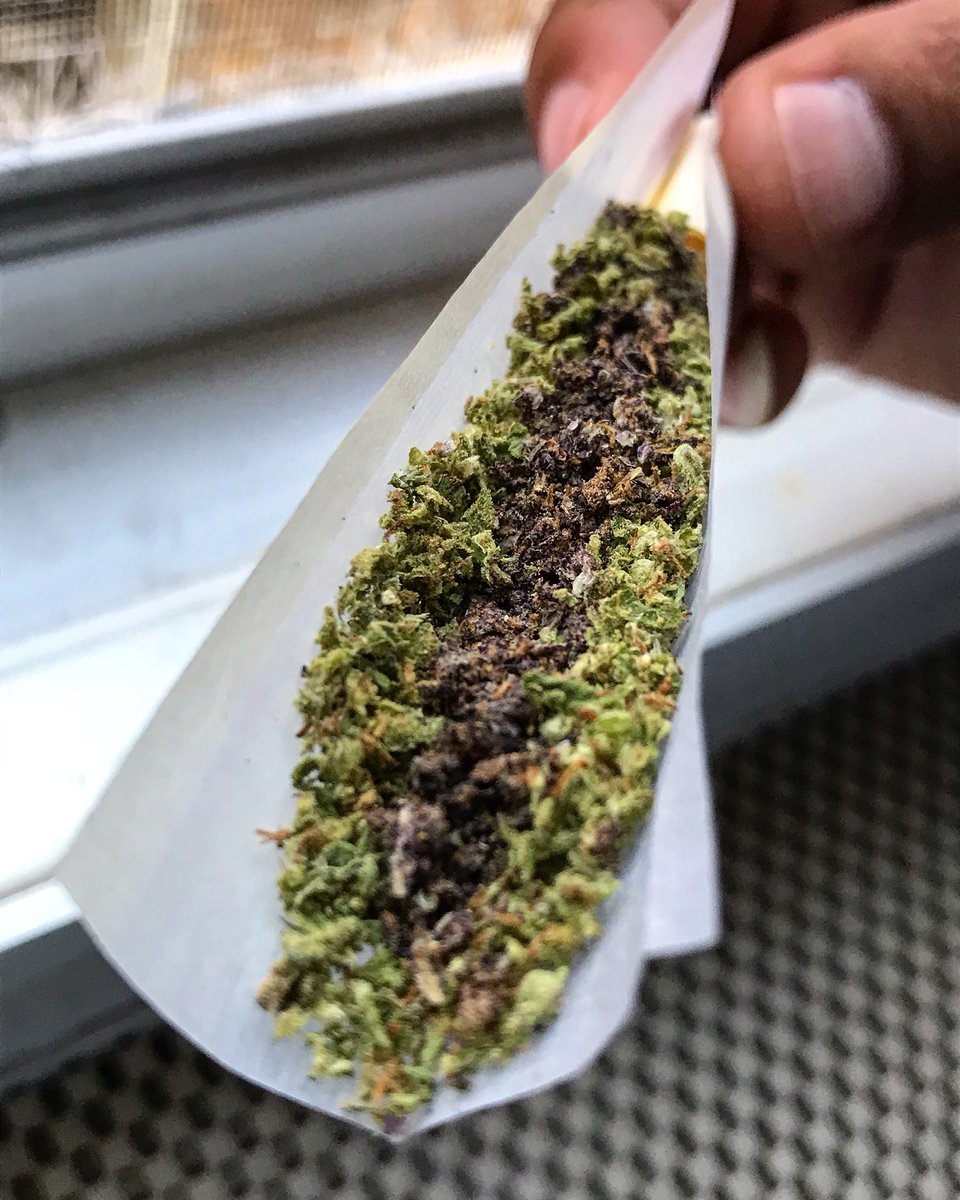 WEEDRETWEET's tweet photo. #wedontsmokethesame
#neversober
#saynotomids
#highlife
#stonerfam
#realstonersareneversober
#stonernation
#wakeandbake
#bigjoints https://t.co/bKvF8tgn9a