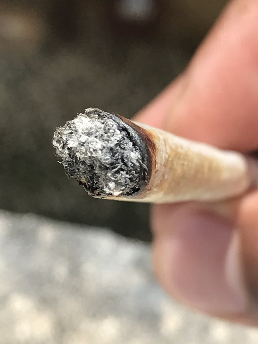 WEEDRETWEET's tweet photo. #wedontsmokethesame
#neversober
#saynotomids
#highlife
#stonerfam
#realstonersareneversober
#stonernation
#wakeandbake
#bigjoints https://t.co/bKvF8tgn9a