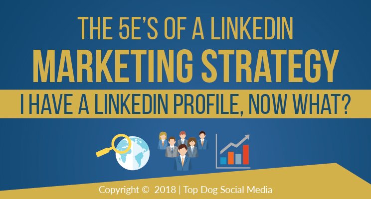 Noisybird Digital Marketing tweet media