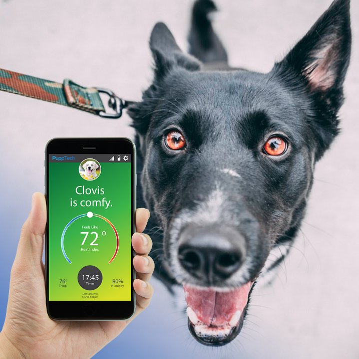 PuppTech's tweet photo. We may have a special announcement up our sleeve, don't miss a thing! https://t.co/oD1Q3NuDDo #comingsoon #PuppTech https://t.co/ZcGX3aV4x3