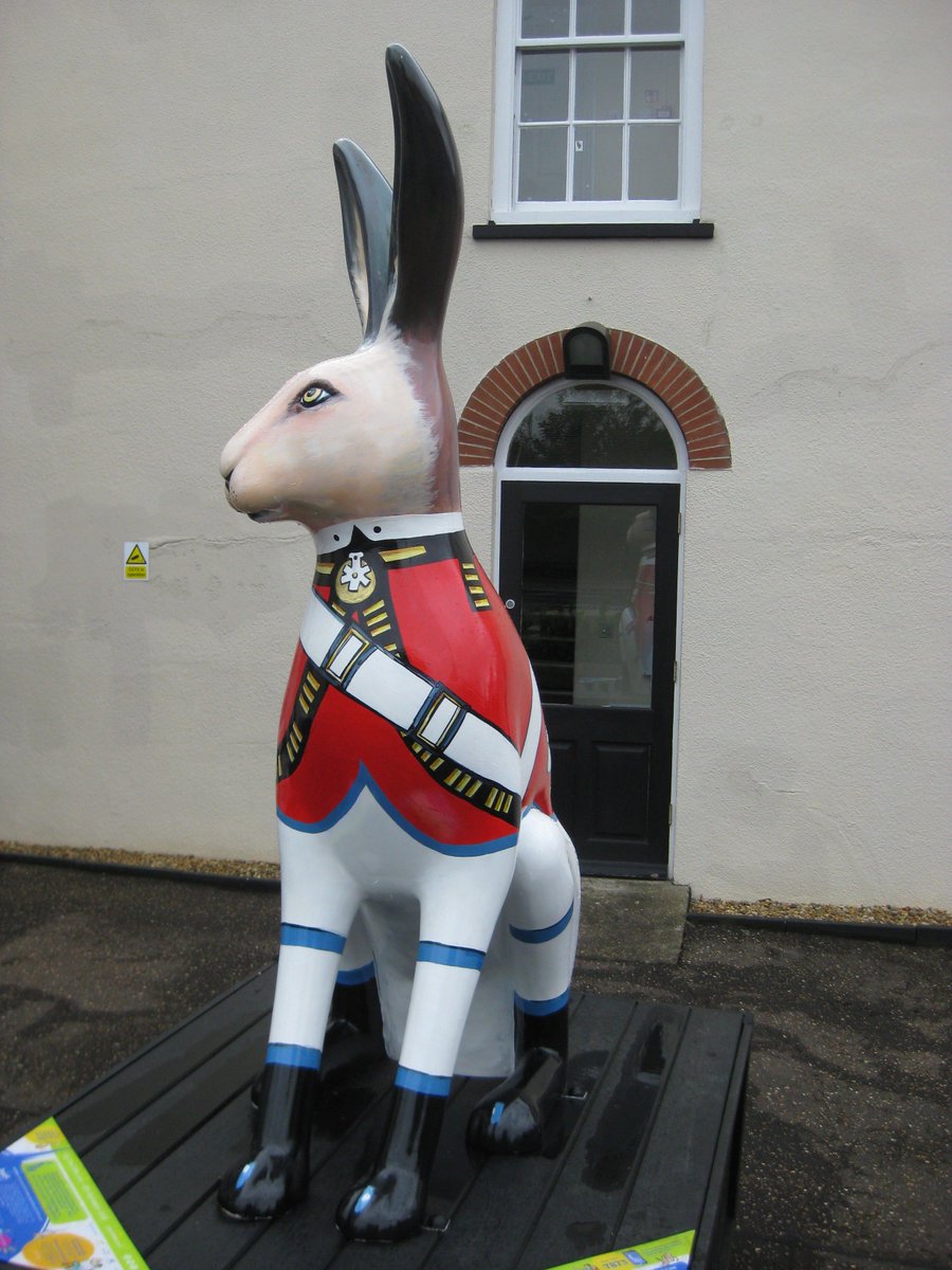 GoGoHareport tweet media