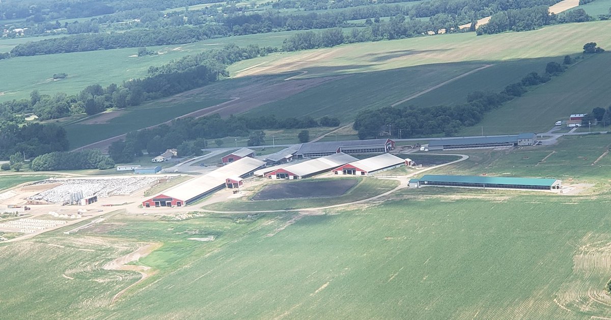 Alicia Lamb tweet media