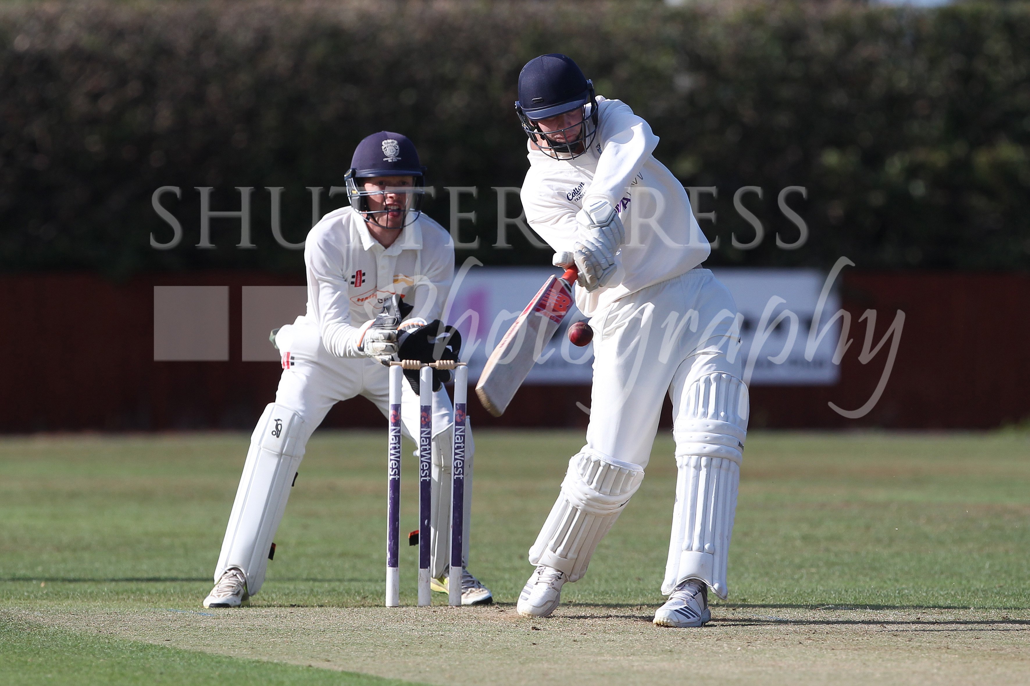 Nysd cricket cheap
