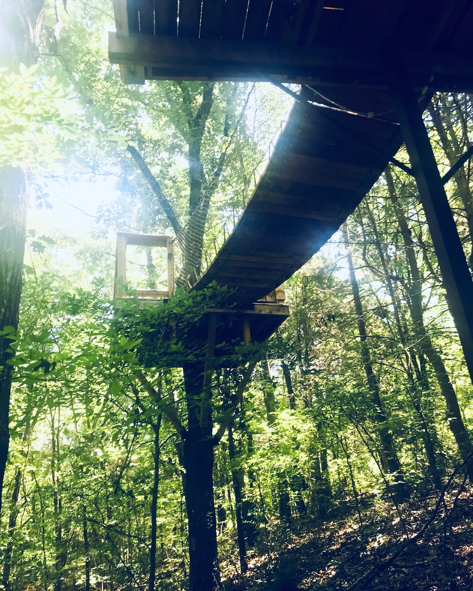 Branson Tree House Adventures Inthetrees2 Twitter