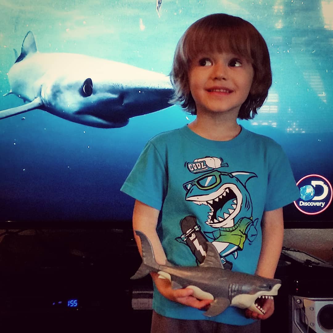 LauraAndroid's tweet image. Duncan is going shark crazy! @Discovery #SharkWeek