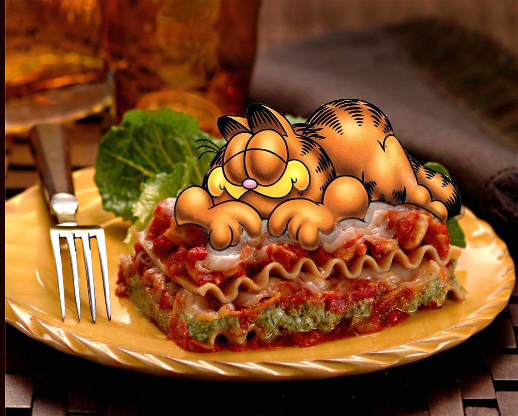 Mom Looks To Rent Garfield Look Alike Cat For Lasagna Dinner With