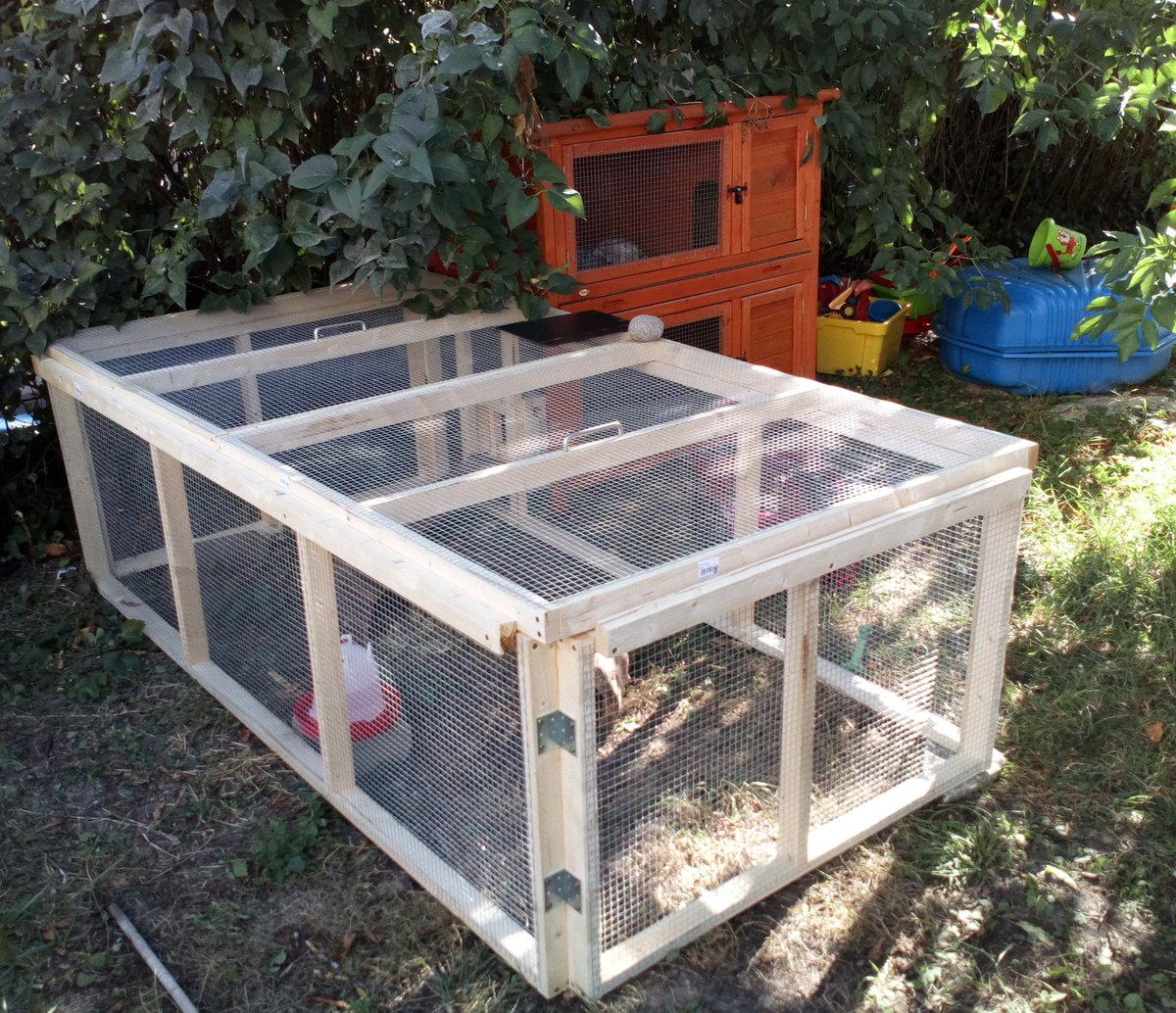 Unser neuer Wachtelfreilauf. Ich hoffe er gefällt unseren Damen. Noch trauen sie sich nicht raus.