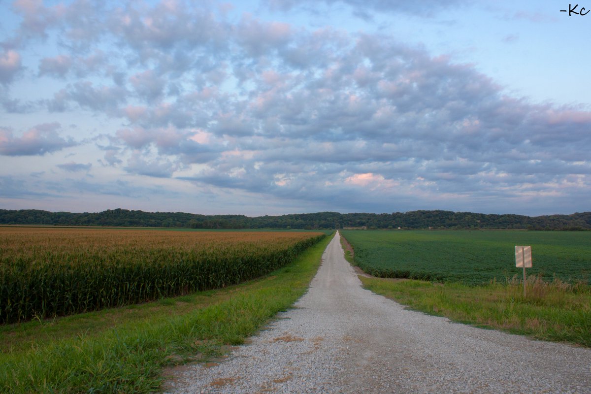 kkampbel32's tweet photo. Everyone travels a unique road in life. Be kind to those who travel on different paths than our own. Make your own way, but be open to new ideas. And always do what makes you happy! These views are one of mine!📸🌾🙂  #roadsideview #canon #summer #sundaythoughts #landscapes https://t.co/cWg70yrfuq