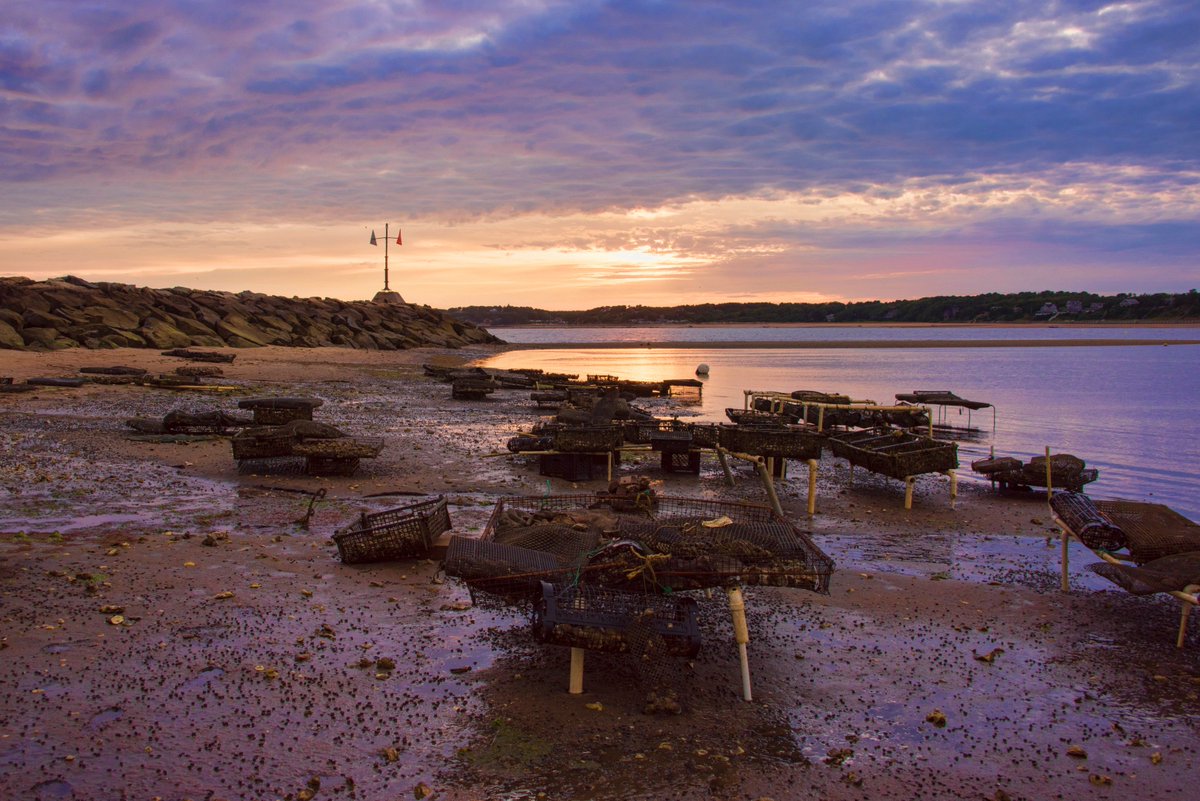 KarenRegan3's tweet photo. Wellfleet #Capecod #IndianNeck #Wellfleet #oysters #sunset #beach #stockphoto #traps @7News #togtweeter #photogs #clouds #cloudy #light #nopeople #color https://t.co/KUEUQCxE6X