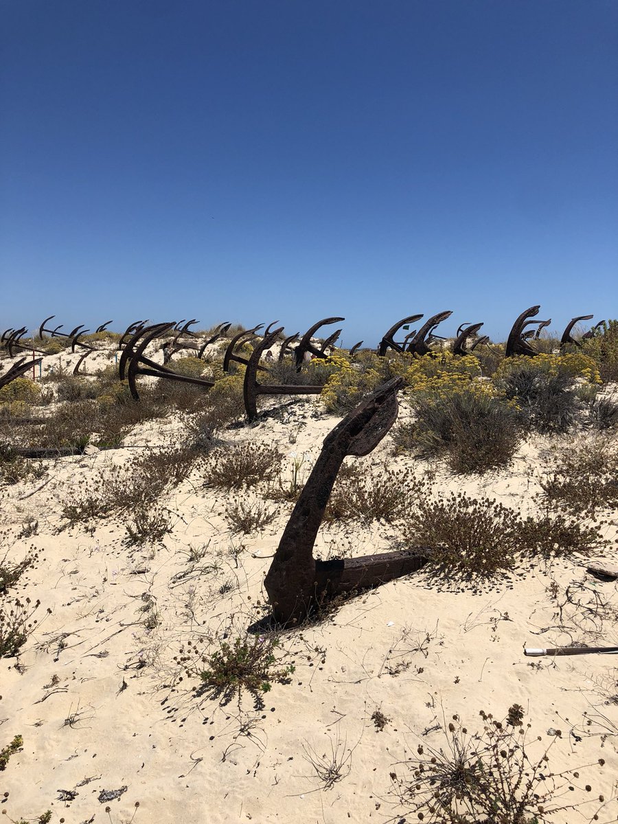 MudpieFridays's tweet photo. Today we made our one long trip out of the holiday to a beautiful beach with an anchor graveyard. A tribute to the tuna fishing that use to take place in the area. There’s a video over on my IG stories if you fancy a look #presstrip #travelblogger @jamesvillasuk #TheJamesWay https://t.co/QibOFHE0oj
