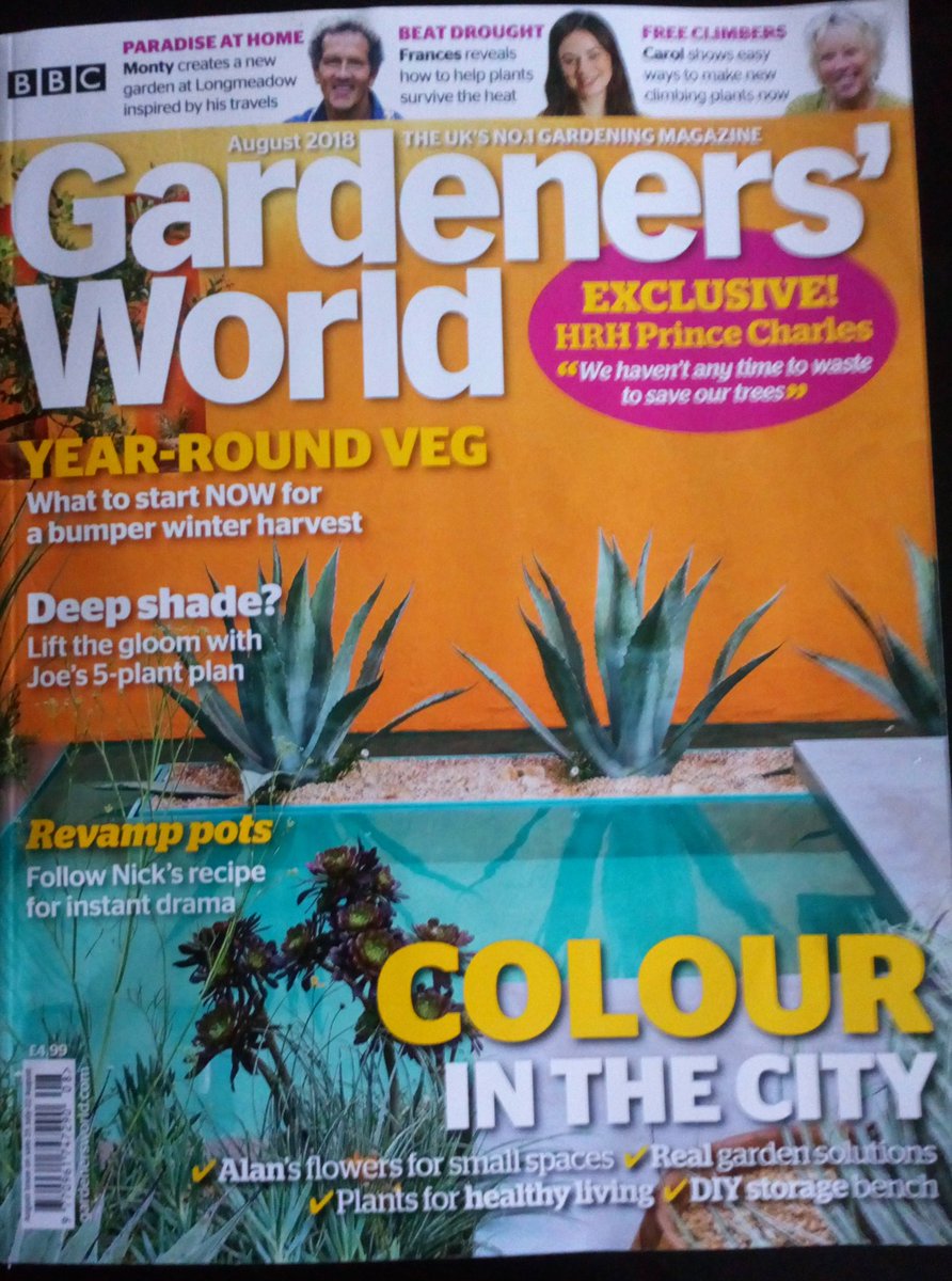 markpascoe91's tweet image. For ever in our hearts