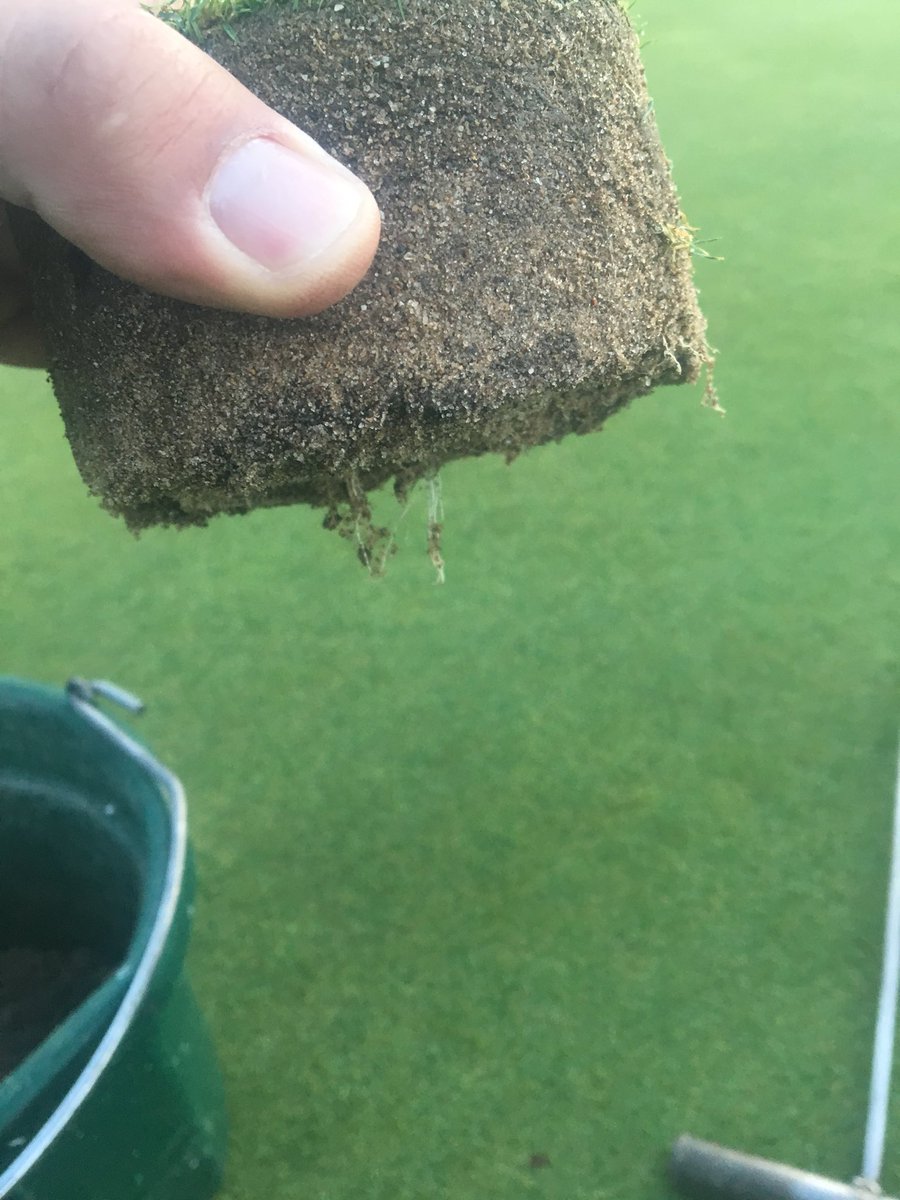 benrink's tweet photo. There’s always an overachiever in the group... #poaproblems #tweettheugly #shallowandfrequent https://t.co/E106Dn983Q