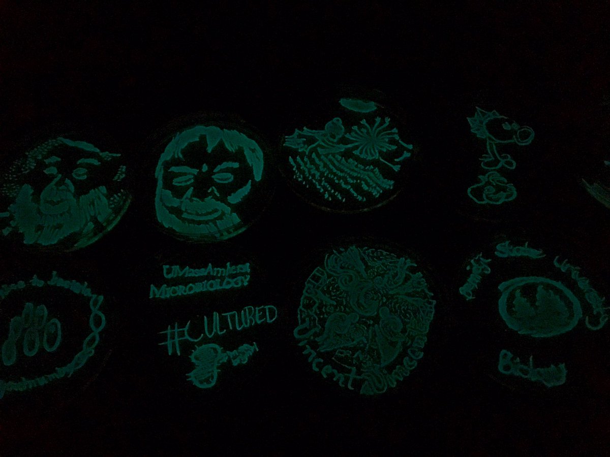 swirlgirl31415's tweet photo. Part 1. A peek at the lovely work from #LuxArt participants at #ASMCUE18. It was super fun to be here with @markowenmartin and @MostlyMicrobes https://t.co/74mmF0uFqd